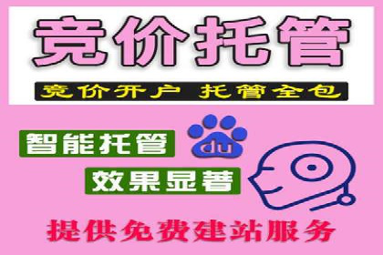 某企业通过SEO和SEM双管齐下实现业绩飞跃的案例